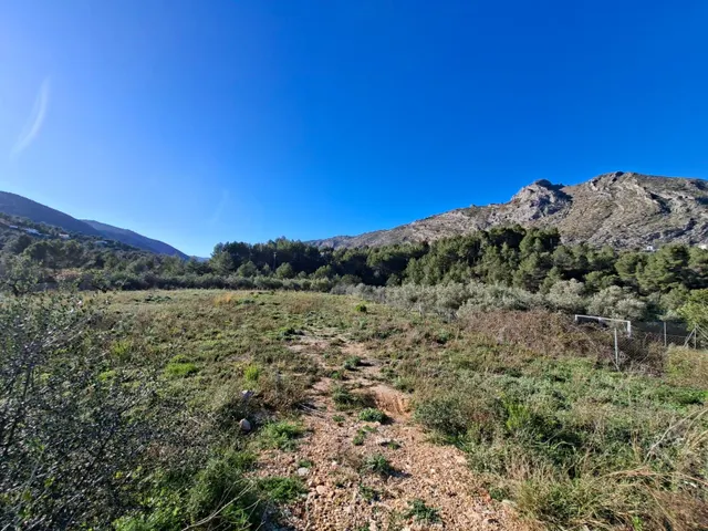 Parcela rústica de 10.400 m2 ubicada en Benigembla - foto 5
