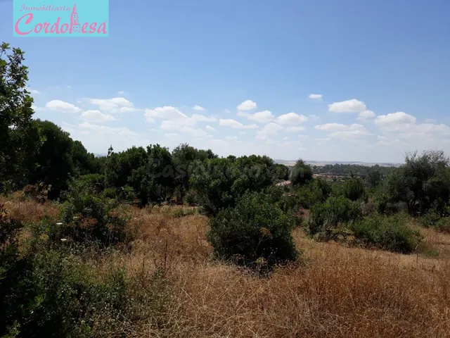 PARCELA EN LA MEJOR ZONA DE LA CARRERA EL CABALLO — 2