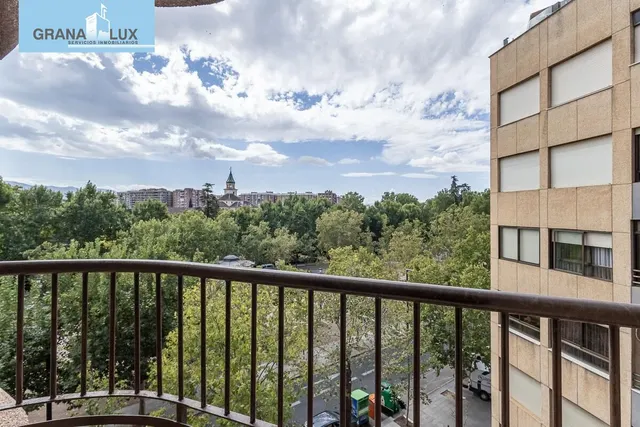 Pisazo en paseo del salón - Granada — 23