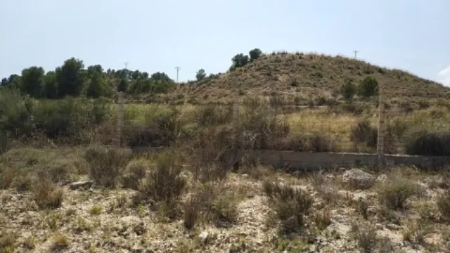 Parcela terreno 10.000 — 4