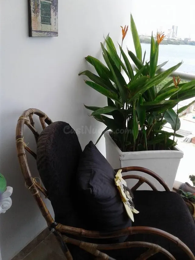 Se arrienda o Vende apartamento en sector El Cabrero - foto 4