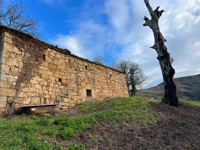 SARO. TERRENO DE 18490 METROS CON CABAÑA PARA REHABILITAR — 4