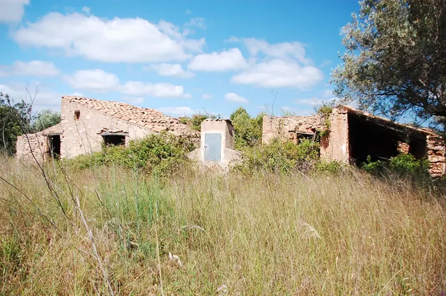 Finca Rústica de 6,5 hectáreas, plana, con casa de campo de 150 M2 — 20