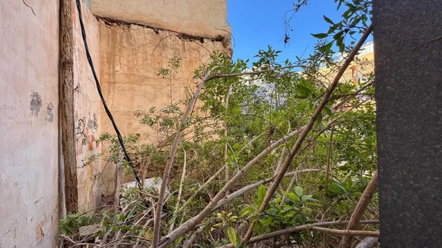 LOCAL DIAFANO EN VENTA EN CAROLINAS ALTAS HOSPITAL GENERAL ALICANTE — 19