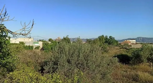 Casa de huerta en Cabezo de Torres para reformar — 6