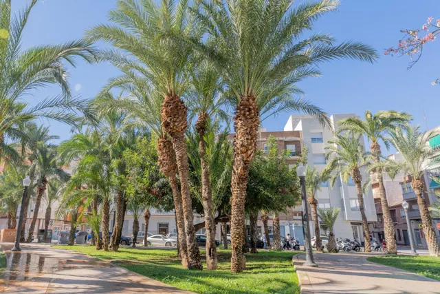 ¡Tu nuevo hogar a estrenar frente al parque en Altabix! — 26