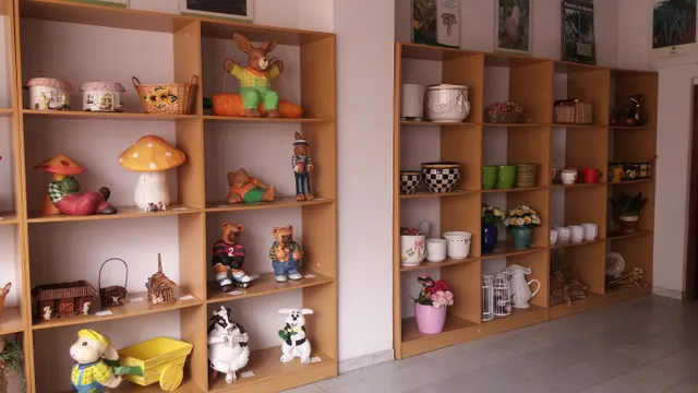 ALQUILER LOCAL COMERCIAL EN MOZONCILLO — 12