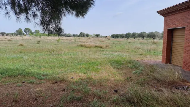 Finca rústica en venta en Constanti - foto 3