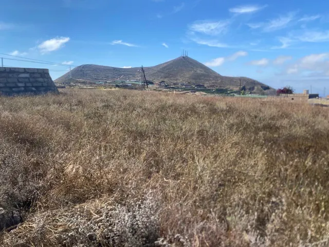 Magnífica finca en Charco del Pino, Granadilla de Abona. - foto 4