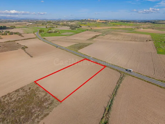 Terreno en Ariany - foto 5