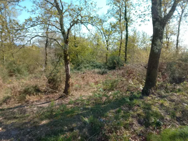 SE VENDE TERRENO EDIFICABLE EN BRANS DE ABAIXO (BRIÓN) - foto 2
