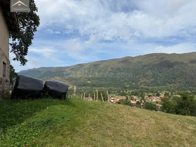 FINCA RUSTICA CON CUADRA EN RUENTE