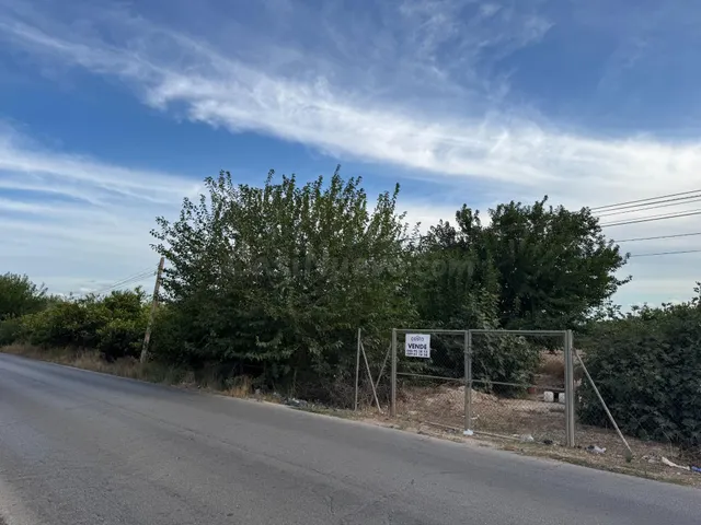 Parcela rústica en Orihuela - foto 2