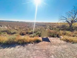 Terreno en Elche para cultivo - foto 2