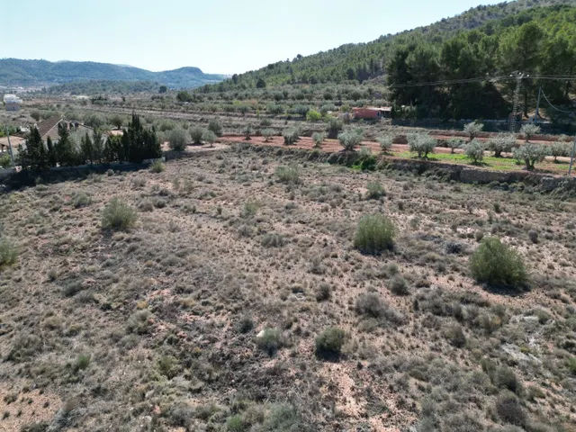Terreno en venta en Pinoso, Alicante | Parcela rústica - foto 4