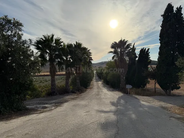 VIÑEDO DE 24,40Ha 1300m2 NAVES Y 400M2 RESTAURANTE