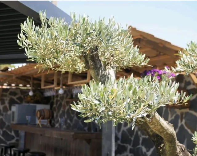 Chalet independiente en Vistahermosa — 32