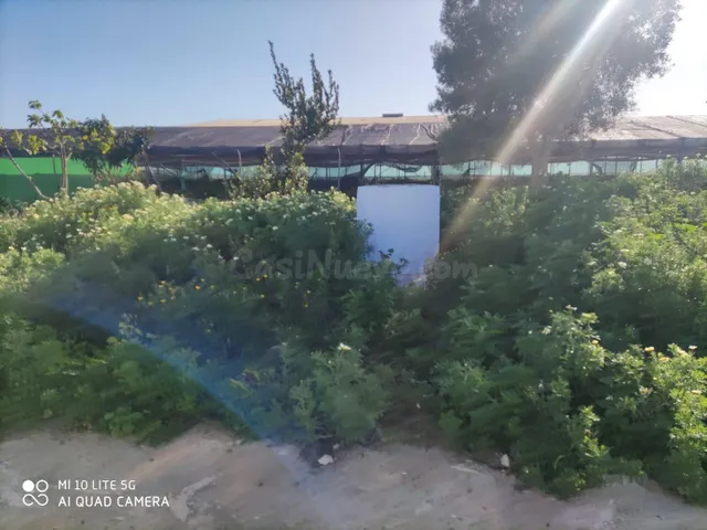 Terreno rural 25m² en venta - Carretera Sanlucar - foto 5