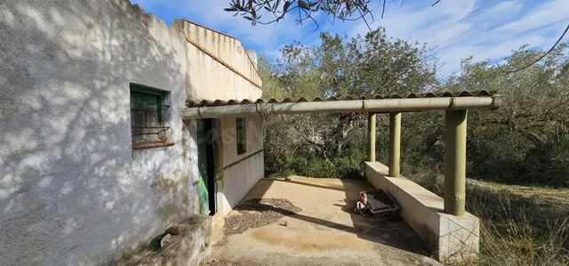 Finca rústica 37m² en venta - Afueras del pueblo - foto 4