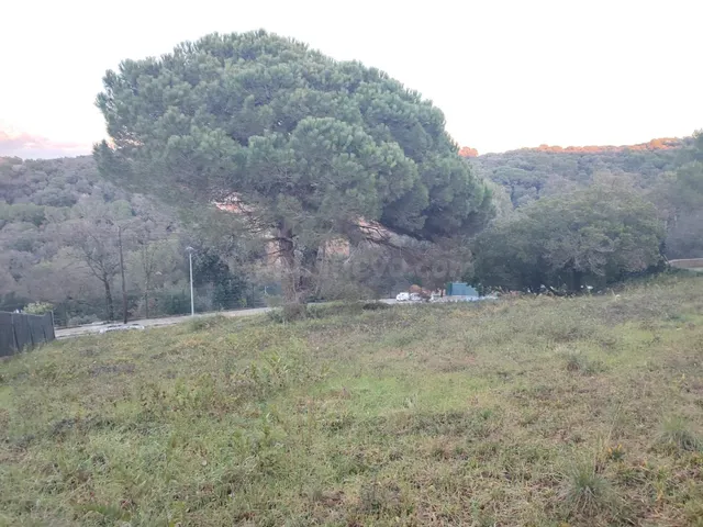 Parcel·la urbana de 903 m2 amb vistes panoràmiques a Llinars