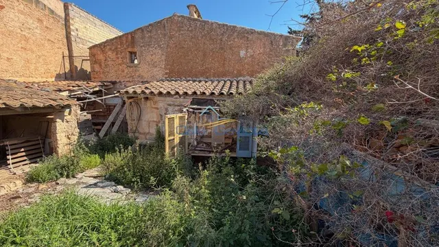 Casa Mallorquina con encanto en Ses Salines - foto 5