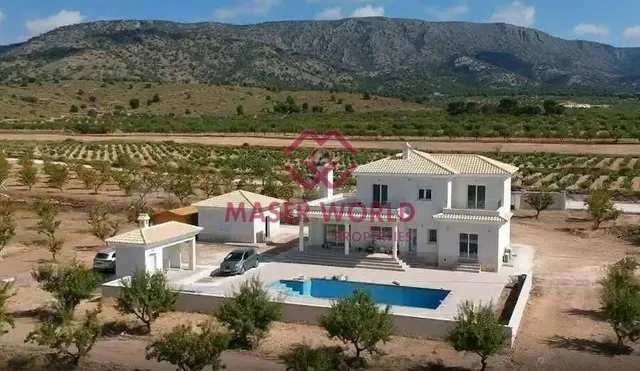 Villas de Obra Nueva en Pinoso en parcelas rústicas — 11