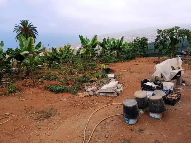 Terreno rural en La Corujera, Santa Úrsula — 9