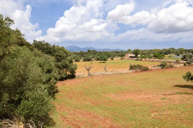 Finca rústica con vivienda en Inca — 31