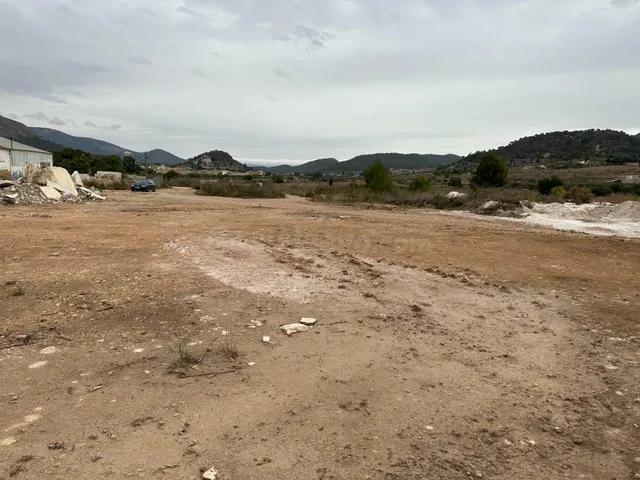 Terreno Rústico en venta - Crta. LA ROMANA - foto 5