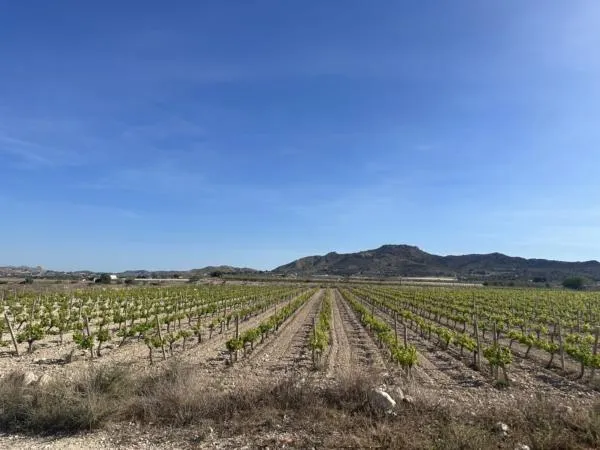 Parcela de terreno