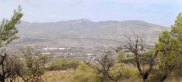Encantadora Casa de Campo en Hondon de las Nieves - Oportunidad Única — 19