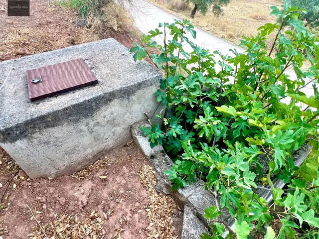 NIVAR - FINCA DE OLIVOS — 24