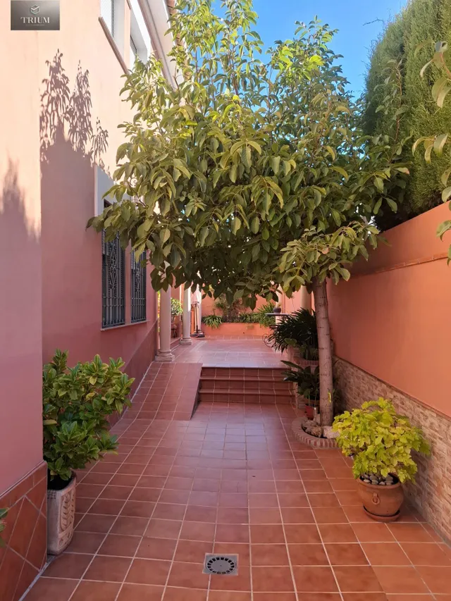Fantástico chalet en villa argaz, junto al cc serrallo plaza — 15