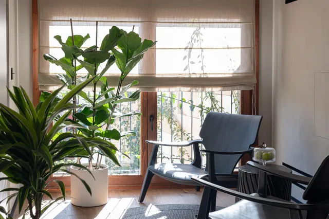 EXCELENTE CASA SEÑORIAL EN LA VILLA DE SINEU — 50