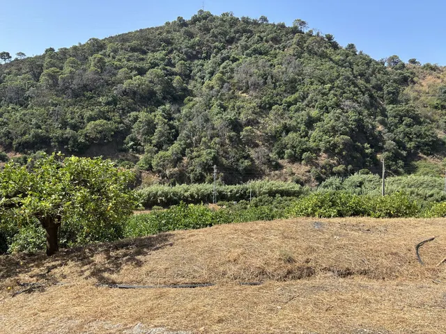 Parcela en venta - Costa Del Sol — 17