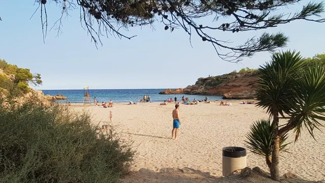 Finca rústica en venta - Afueras del pueblo — 12