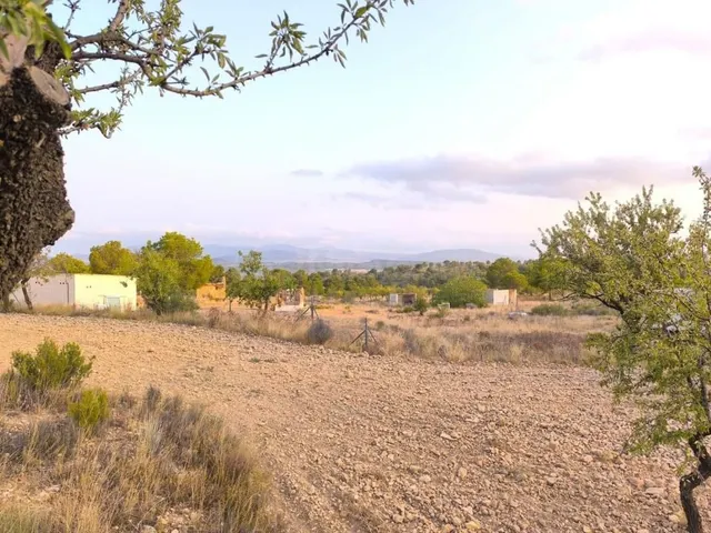 Finca rústica con cultivos en Pinoso (Alicante) - 4797 m² - foto 4