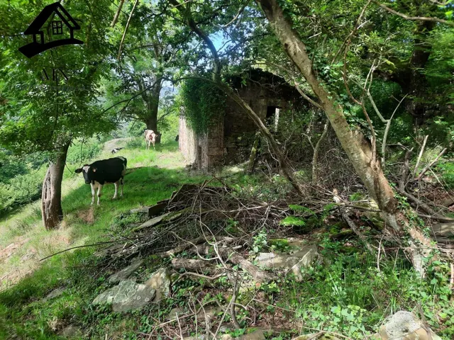 Cabaña tradicional de piedra con gran finca de 9.710 m2 en e - foto 5