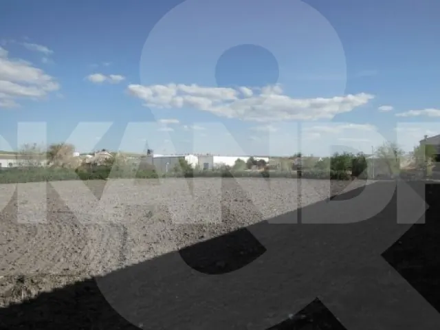 Casa TIPICA DE PUEBLO CON FINCA IDEAL PARA CASA RURAL — 13