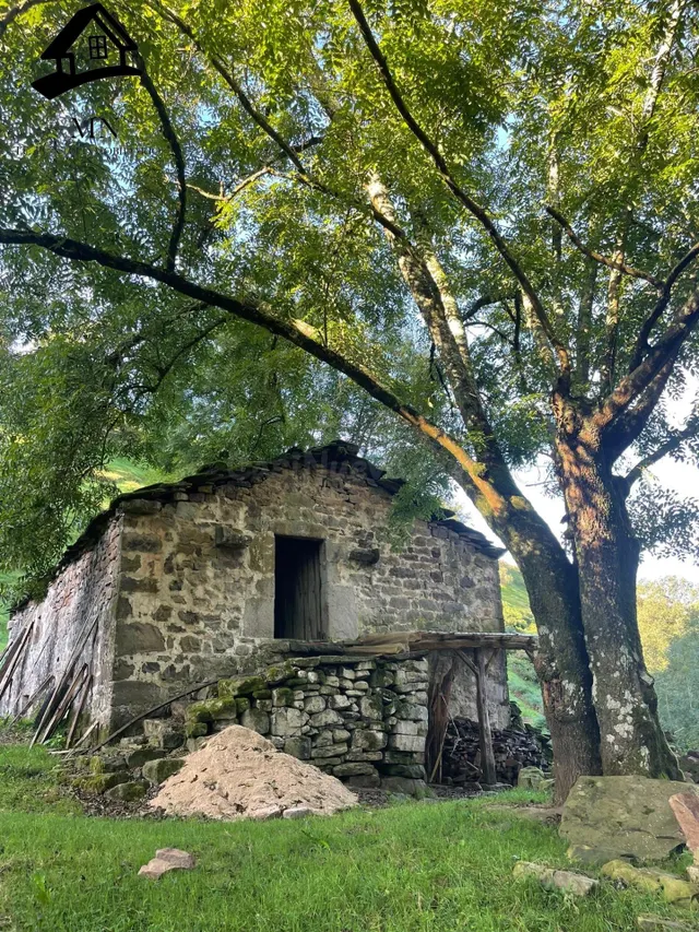 CABAÑA PARA REFORMAR EN EL CORAZÓN DE SELAYA - foto 2