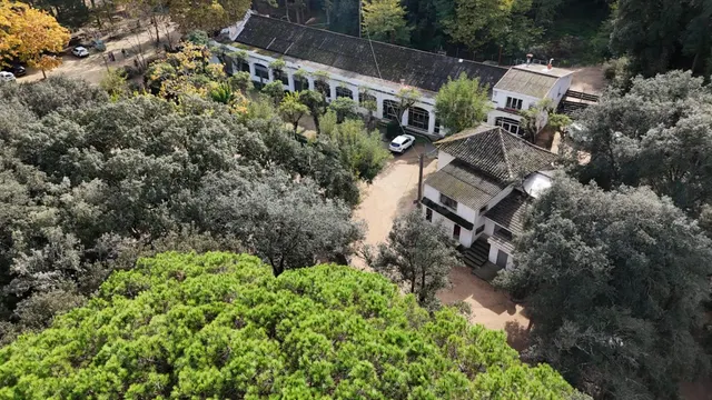 Finca rústica de 9 hectáreas en Arenys de Munt — 5