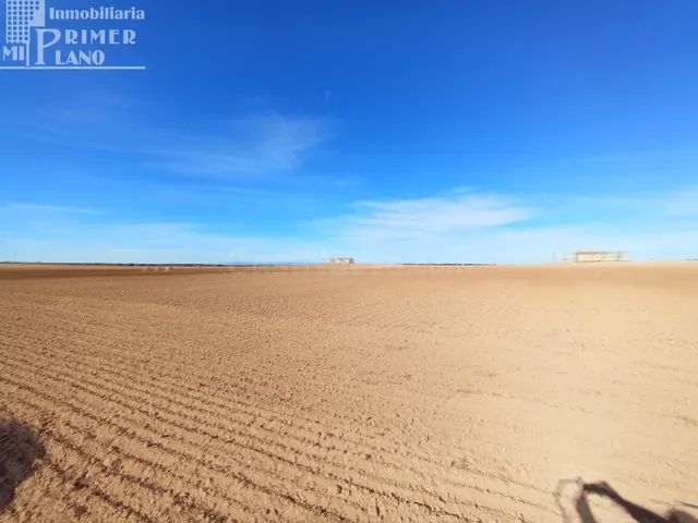 Parcela de Tierra de Secano en Argamasilla de Alba - foto 3