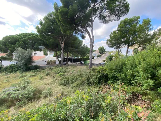 Terreno en Montgó — 6