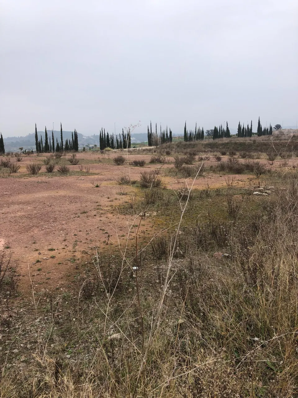 SOLAR INDUSTRIAL EN VENTA EN SANT FRUITOS DE BAGES
