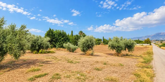 Parcela rústica de 4.824 m2 en Llanos de Moraleda, Moraleda de Zafayona — 20