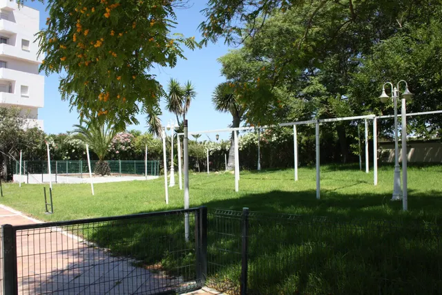 Estudio en Matalascañas — 14