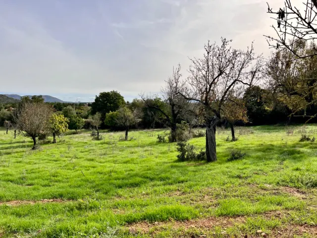 Finca rústica Campanet — 4