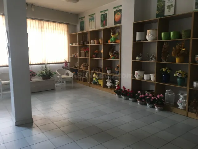 LOCAL COMERCIAL EN VENTA EN MOZONCILLO - foto 4