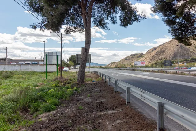 TERRENO DE 13.950 M2 EN ORIHUELA - ZONA POLÍGONO PUENTE ALTO — 5