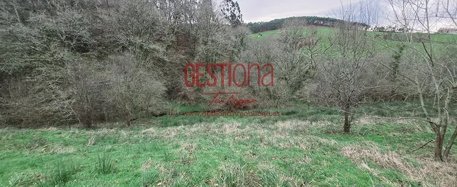 CABAÑA CON ARROYO,  PROYECTO Y CAMBIO DE USO EN LLANOS. PENAGOS — 26